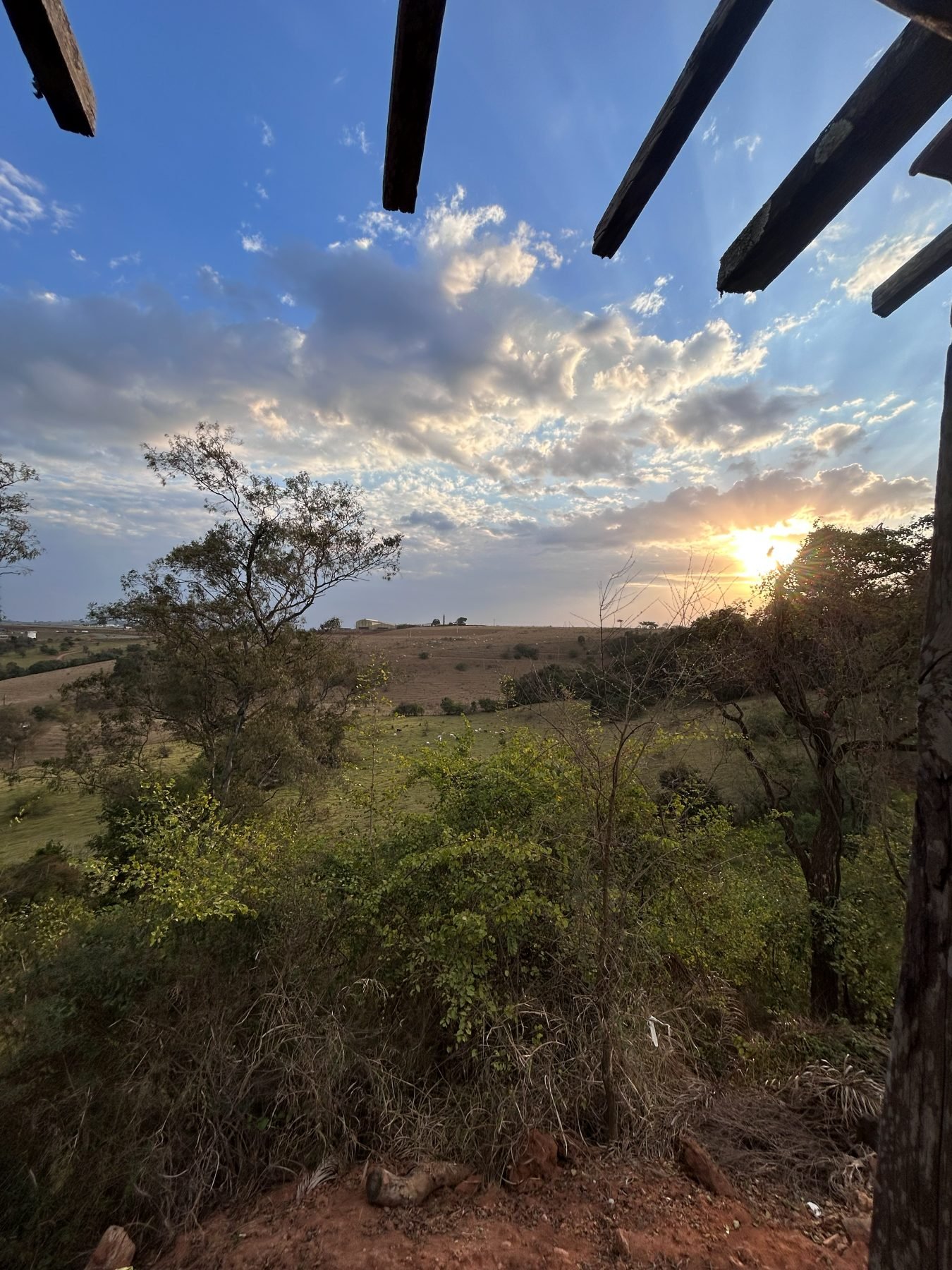 Vista do entorno do loteamento Alta Vista ao entardecer, com vegetação e pastagens ao fundo