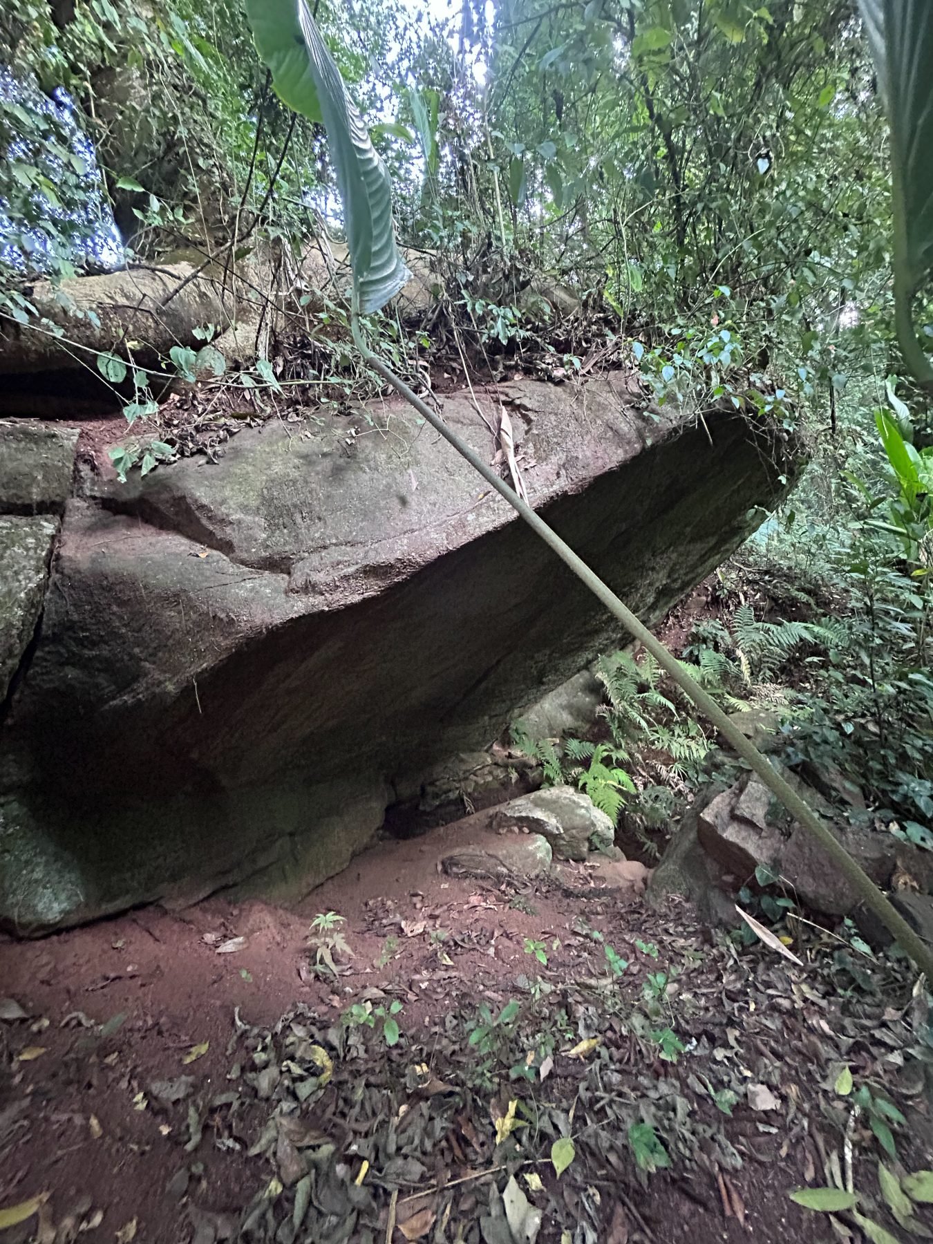 Formação rochosa natural dentro da área de preservação
