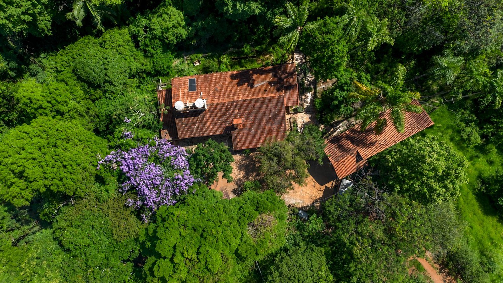 Vista aérea da casa de apoio do sítio, cercada pela mata preservada